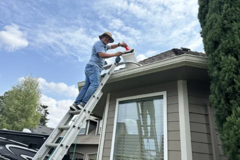 Gutter Cleaning