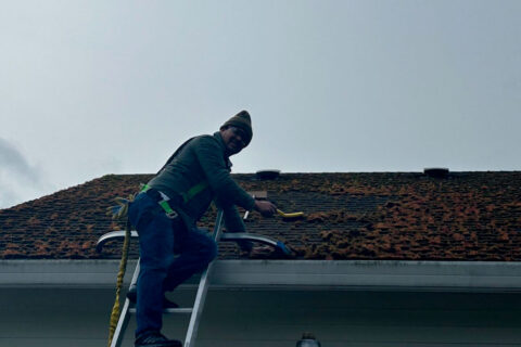 Roof Cleaning & Moss Removal