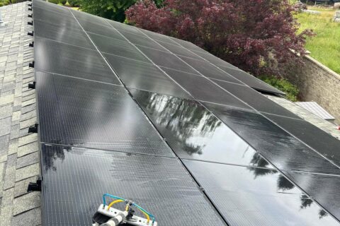 Solar Panel Cleaning